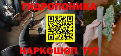 стаф Кулебаки