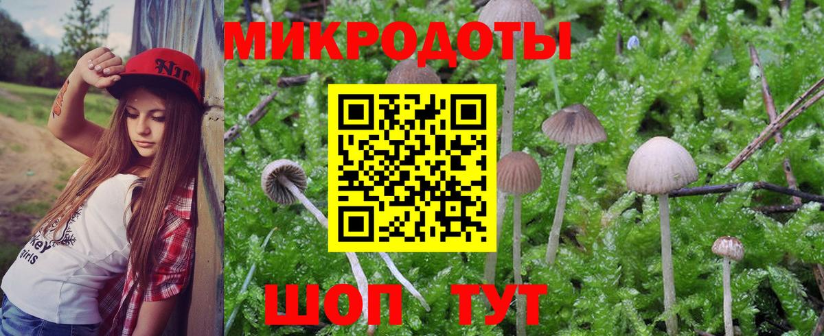 Псилоцибиновые грибы GOLDEN TEACHER  Вход с VPN  наркота  Каспийск  Псилоцибиновые грибы Magic Shrooms 