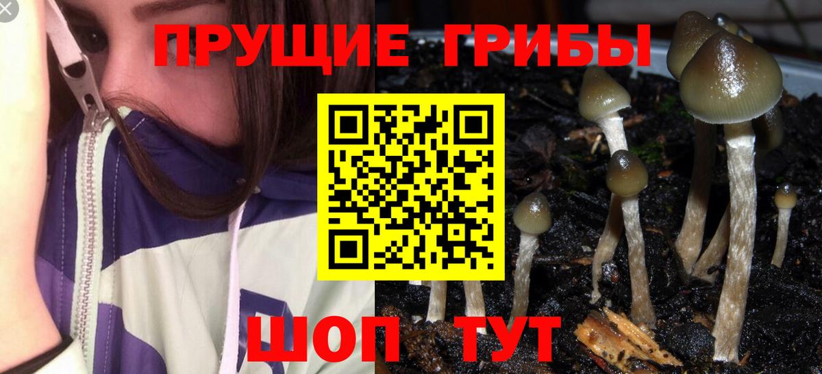 Галлюциногенные грибы мицелий Каспийск